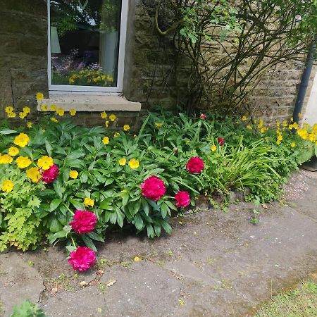 Mayfield Cottage Burtree Ford Luaran gambar