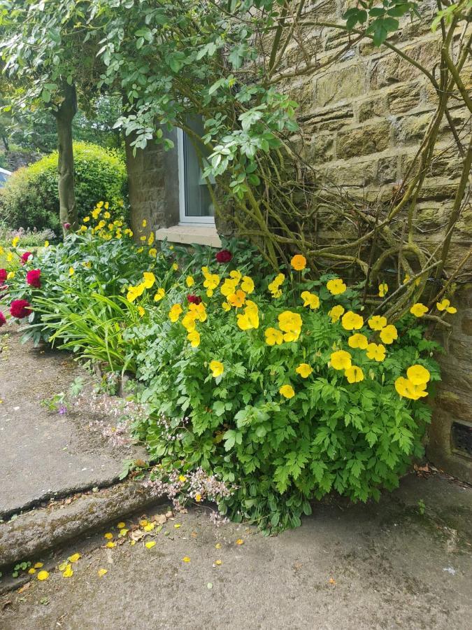Mayfield Cottage Burtree Ford Luaran gambar