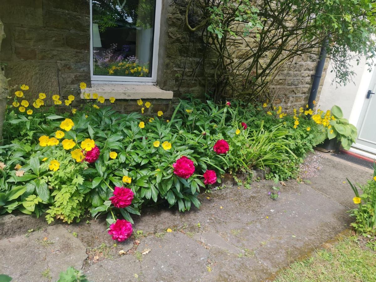 Mayfield Cottage Burtree Ford Luaran gambar