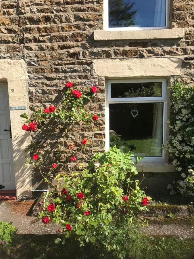 Mayfield Cottage Burtree Ford Luaran gambar